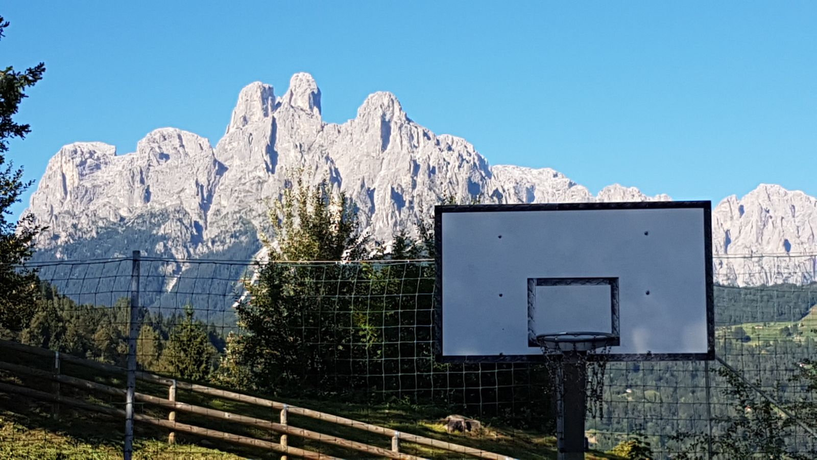 Immagine non trovata